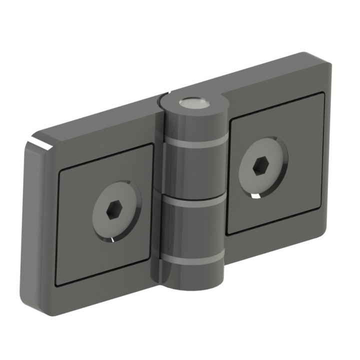 Charnière profilé aluminium – 6 30 – Zn – 8/8 – Avec vis - Elcom shop