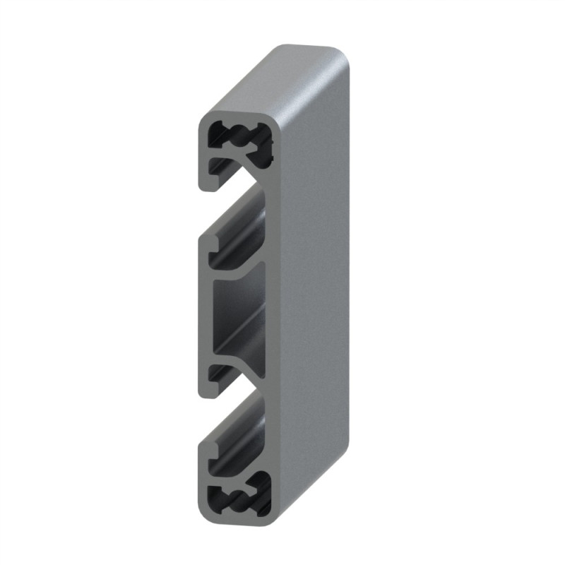 Profilé aluminium (Coupe max 3 m) – Rainure 6 mm – 60x12 mm – Léger - Elcom shop