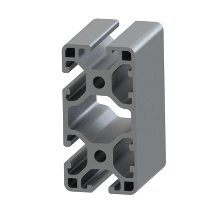 Profilé aluminium (Coupe max 6 m) – Rainure 6 mm – 60x30 mm – 2N - Léger - Elcom shop