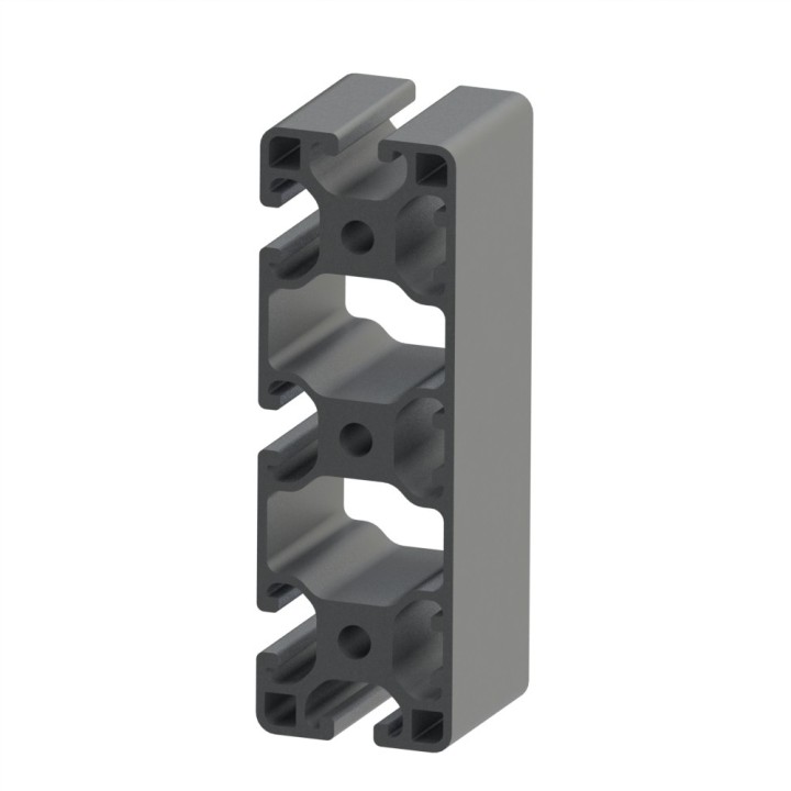 Profilé aluminium (Coupe max 6 m) – Rainure 8 mm – 120x40 mm – 3N - Léger - Elcom shop
