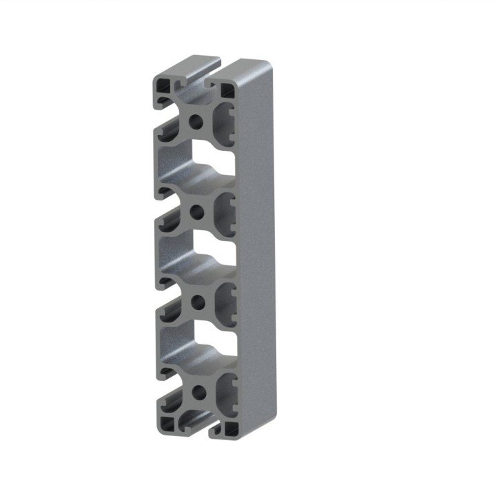 Profilé aluminium (Coupe max 6 m) – Rainure 8 mm – Section 160x40 mm – 4N – léger - Elcom shop