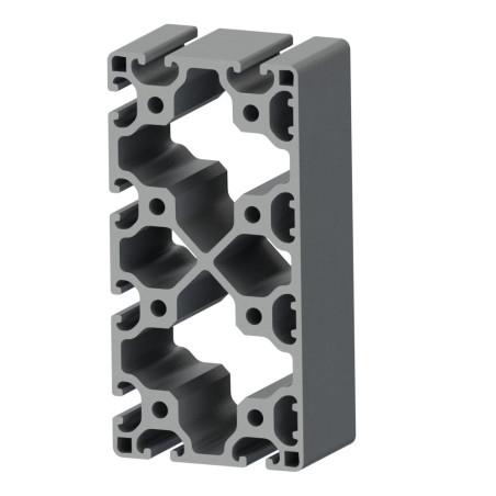 Profilé aluminium (Coupe max 6 m) – Rainure 8 mm – section 160x80 mm – 4N – léger - Elcom shop