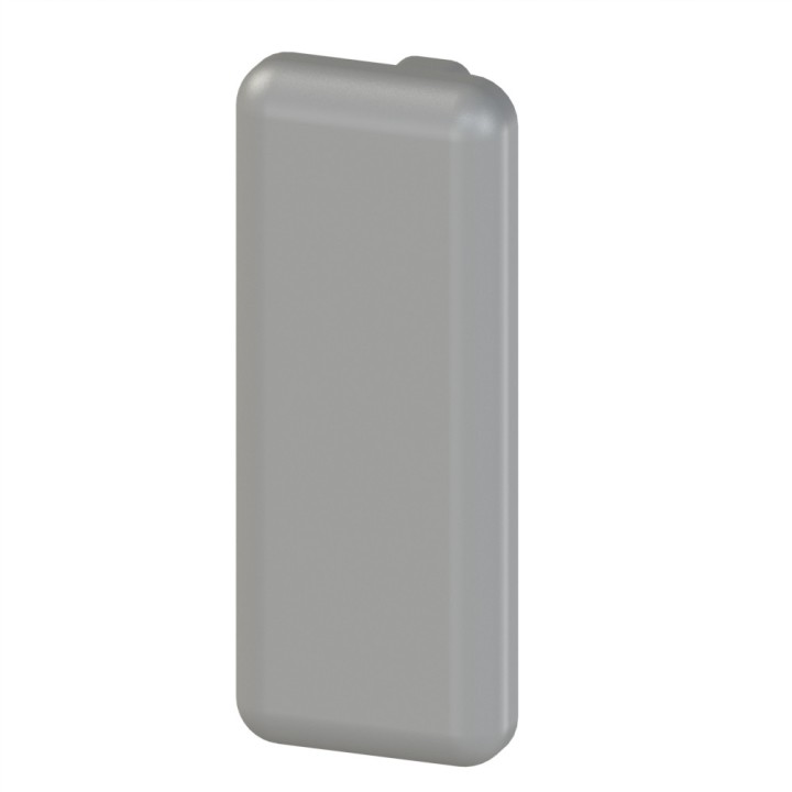 Embout profilé aluminium – Rainure 6 mm – Section 30x12 mm - Gris