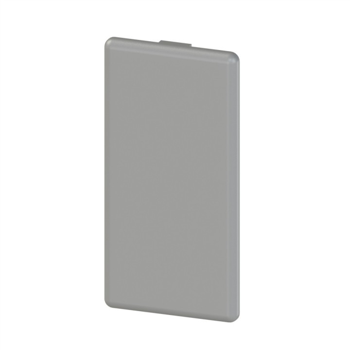 Embout profilé aluminium – Rainure 10 mm – Section 90x45 mm - Gris