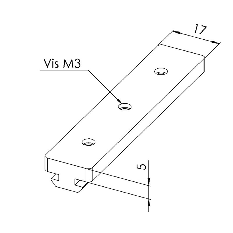 Coulisseau profilé aluminium - Rainure 6 mm - 17x9,8 mm - Longueur 80 mm