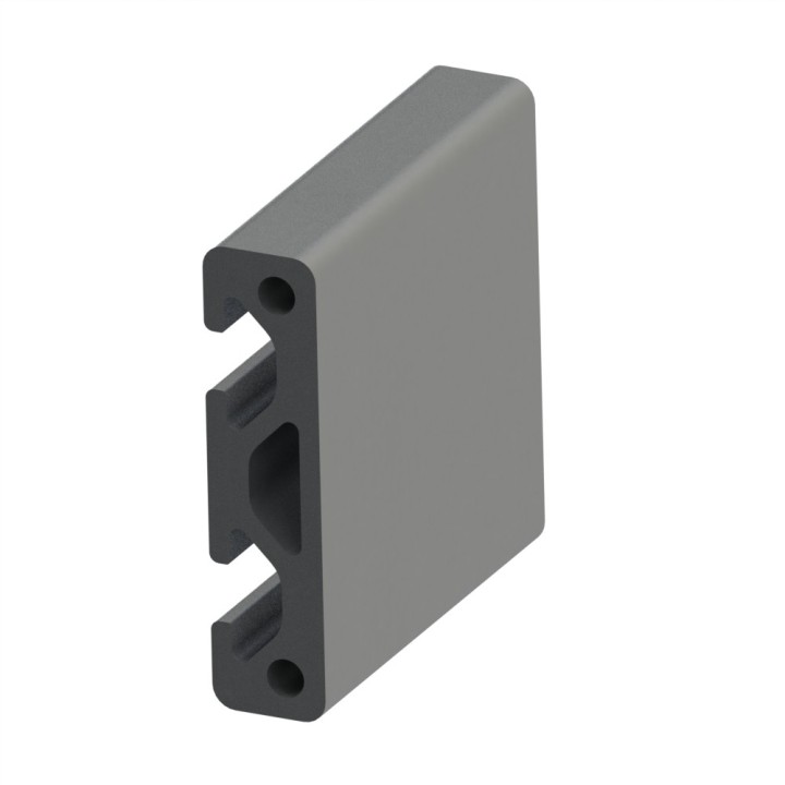 Profilé aluminium (Coupe max 3 m) – Rainure 5 mm – Section 40x10 mm - Elcom shop