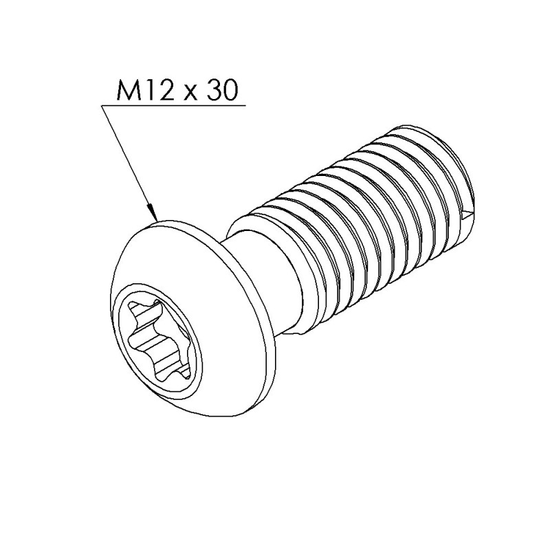 Vis profilé aluminium – Rainure 10 mm - Filetage M12x30 - T50