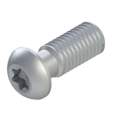 Vis profilé aluminium – Rainure 10 mm - Filetage M12x30 - T50 - Geomet