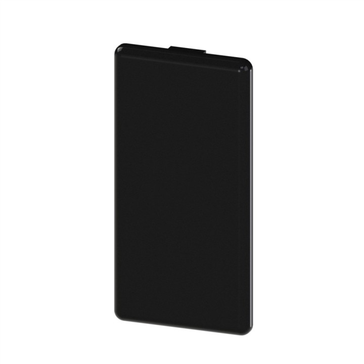 Embout profilé aluminium (Boîte de 50 unités) – Rainure 10 mm – Section 80x40 mm - Noir
