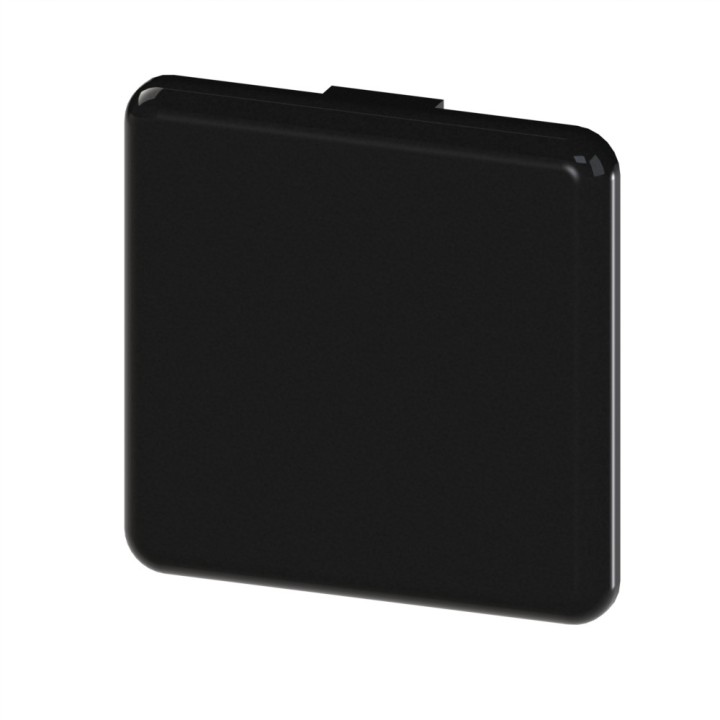 Embout profilé aluminium (Boîte de 100 unités) – Rainure 10 mm – Section 45x45 mm - Noir - ESD