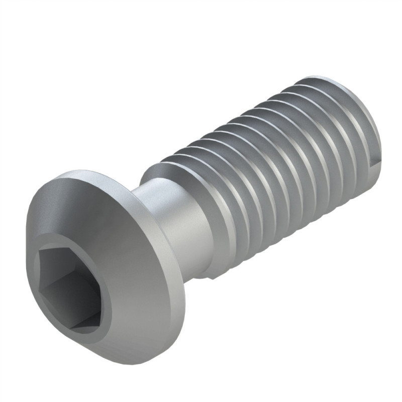 Vis profilé aluminium (Boîte de 100 unités) – Rainure 10 mm - Filetage M12x30 - Hexagonale