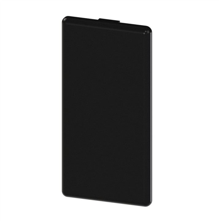 Embout profilé aluminium (Boîte de 10 unités) – Rainure 10 mm – Section 90x45 mm - Noir